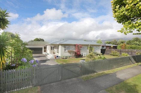 Photo of property in 183 North Street, Feilding, 4702