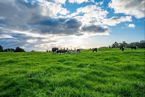 Photo of property in 431 Kawakawa Road, Marotiri, Taupo, 3377