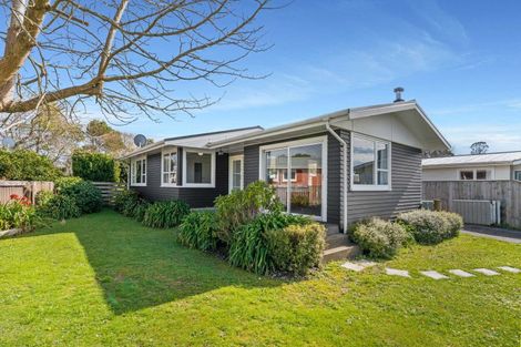 Photo of property in 32 Daniell Street, Solway, Masterton, 5810