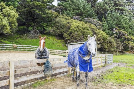 Photo of property in 781 Ohariu Valley Road, Ohariu, Wellington, 6037