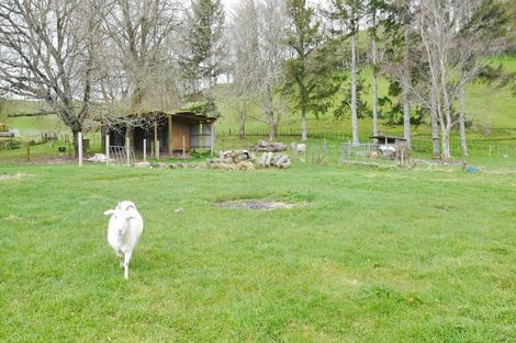 Photo of property in 223 Yankee Road, Rerewhakaaitu, Rotorua, 3073