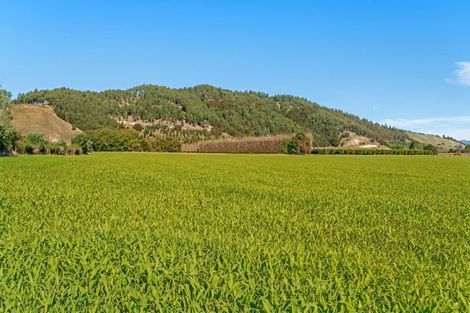 Photo of property in 191 Papatu Road, Manutuke, Gisborne, 4072