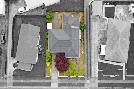 Photo of property in 12 Jasmine Avenue, Dinsdale, Hamilton, 3204