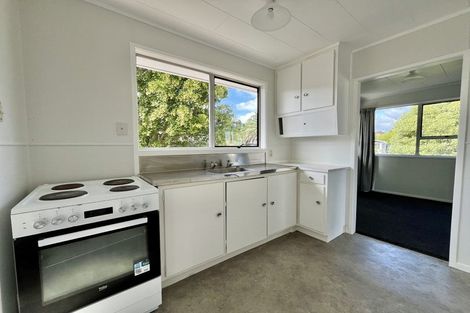Photo of property in 28 Larissa Avenue, Henderson, Auckland, 0610