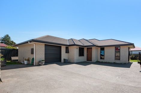 Photo of property in 28a Stratford Street, Blenheim, 7201