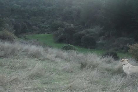 Photo of property in 61 Coutts Gully Road, Taieri Beach, Brighton, 9091