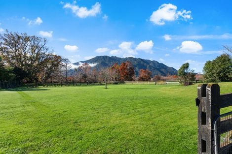 Photo of property in 38 Ritchie Street, Te Aroha, 3320