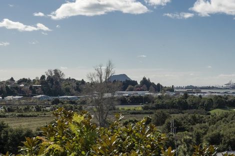 Photo of property in 10 Neil Place, Gate Pa, Tauranga, 3112