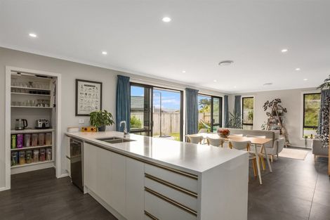 Photo of property in 25 Queen Charlotte Drive, Aotea, Porirua, 5024