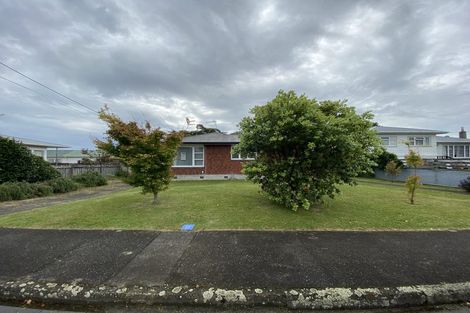 Photo of property in 41 Parker Avenue, Levin, 5510