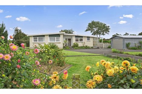 Photo of property in 1 Mccarthy Street, Waihou, Te Aroha, 3393