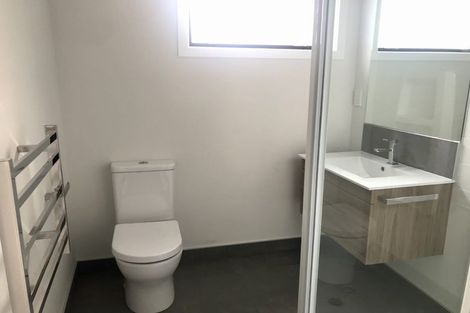 Photo of property in 54b Claude Street, Fairfield, Hamilton, 3214