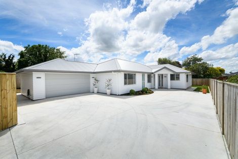Photo of property in 163a Denbigh Street, Feilding, 4702