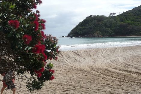 Photo of property in 54 Little Bay Drive, Waikawau, Coromandel, 3584