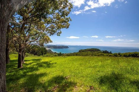 Photo of property in 425m Boat Harbour Road, Whenuakite, Whitianga, 3591