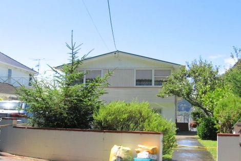 Photo of property in 4 Anderson Terrace, Mount Cook, Wellington, 6021
