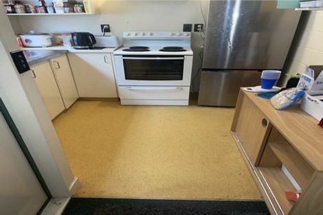 Photo of property in Te Awhina Apartments, 2/22 Sussex Street, Mount Cook, Wellington, 6021