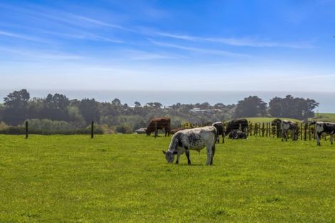 Photo of property in 93 Surrey Hill Road, Kaitake, New Plymouth, 4374