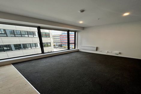 Photo of property in A C Nielsen House, 304/120 Victoria Street, Te Aro, Wellington, 6011