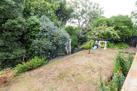 Photo of property in 162 Limbrick Street, Terrace End, Palmerston North, 4410