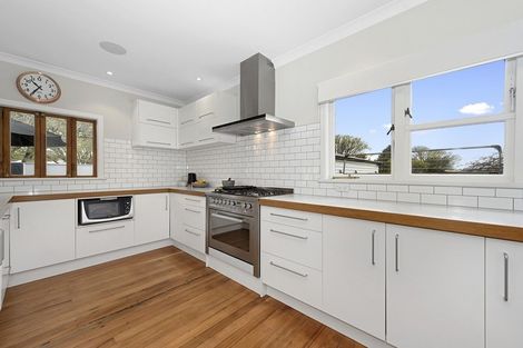 Photo of property in 22 Strowan Avenue, Fairfield, Hamilton, 3214