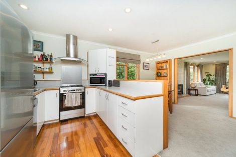 Photo of property in 6 Patea Place, Terrace End, Palmerston North, 4410
