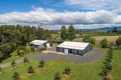 Photo of property in 196 Pahoia Road, Whakamarama, Tauranga, 3172