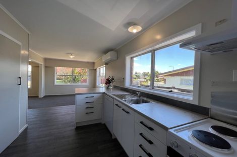 Photo of property in 20 Fernleigh Street, Chartwell, Hamilton, 3210