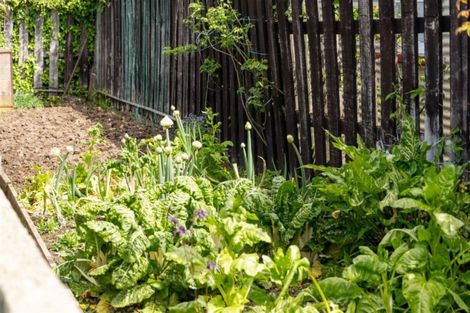 Photo of property in 5 Cooper Street, Lansdowne, Masterton, 5810