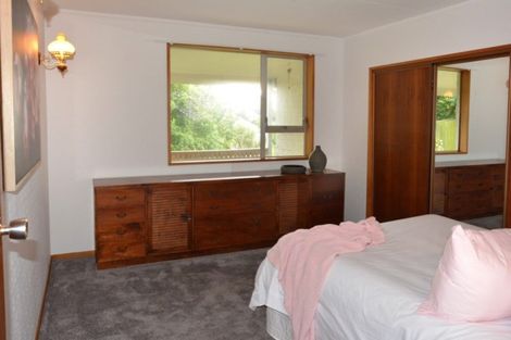 Photo of property in 12a Coney Hill Road, Saint Clair, Dunedin, 9012