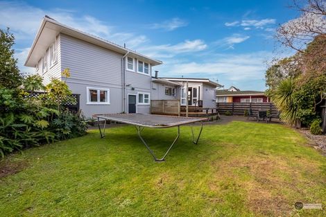 Photo of property in 24 Orr Crescent, Hutt Central, Lower Hutt, 5011