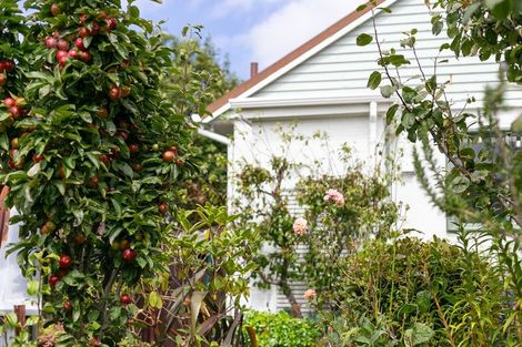 Photo of property in 21 Hindmarsh Street, Johnsonville, Wellington, 6037