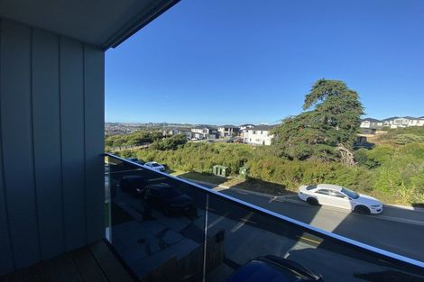 Photo of property in 13 Sagitta Drive, Flat Bush, Auckland, 2019