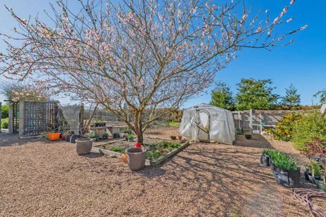 Photo of property in 9 Hayfield Terrace, Cust, Rangiora, 7471