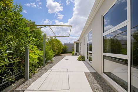 Photo of property in 164 Middle Renwick Road, Springlands, Blenheim, 7201