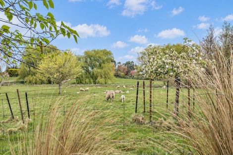 Photo of property in 87 Marshmans Road, Ashley, Rangiora, 7477