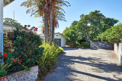Photo of property in 34 Manson Street, Terrace End, Palmerston North, 4410
