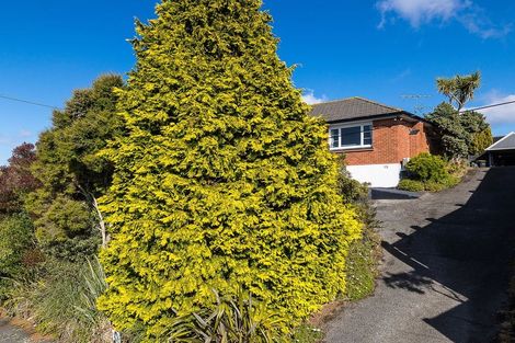 Photo of property in 98 Dunrobin Street, Waverley, Dunedin, 9013