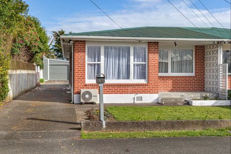 Photo of property in 43 Trafalgar Street, Levin, 5510