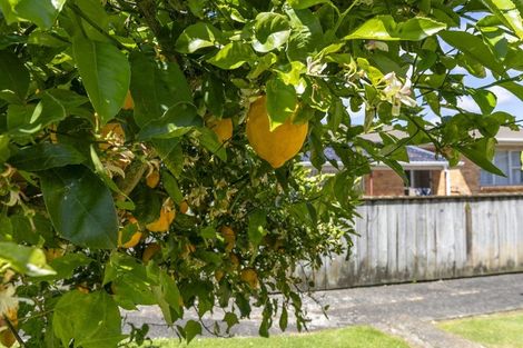 Photo of property in 13 Harlock Place, Huntly, 3700