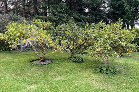 Photo of property in 46 Corbetts Road, Manakau, Otaki, 5583