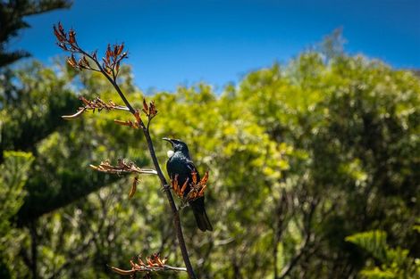 Photo of property in 516 Clova Bay Road, Totaranui, Picton, 7282