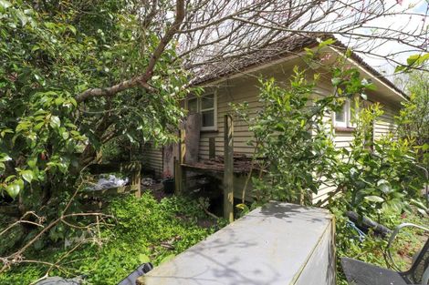 Photo of property in 111 Currie Street, Thames, 3500