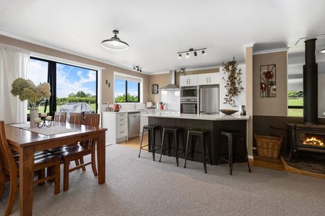 Photo of property in 1128 Tahuroa Road, Morrinsville, 3371