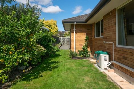 Photo of property in 1 Elmwood Avenue, Witherlea, Blenheim, 7201