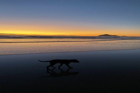 Photo of property in 21 Gillies Crescent, Waimarama, Havelock North, 4294