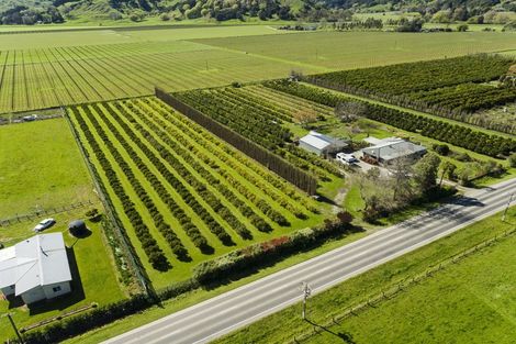 Photo of property in 1286 Matawai Road, Ormond, Gisborne, 4071