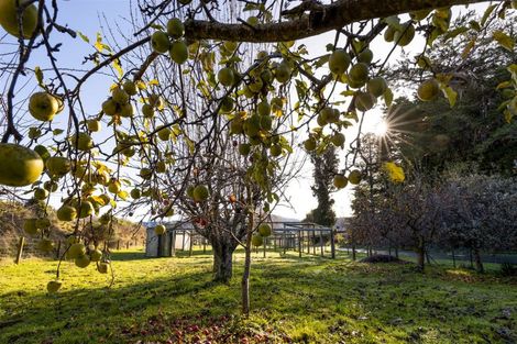 Photo of property in 144 Blind Creek Road, Tuamarina, Blenheim, 7273