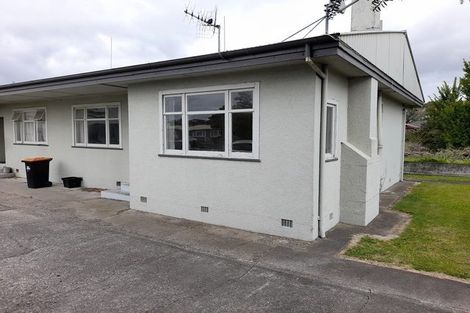 Photo of property in 382-388 Tremaine Avenue, Takaro, Palmerston North, 4412