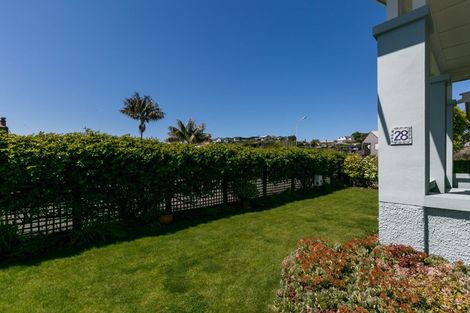 Photo of property in 28 Coleman Terrace, Hospital Hill, Napier, 4110